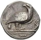 obverse
