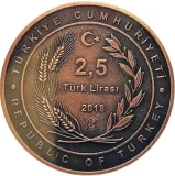 obverse