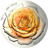 Revers