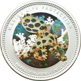 reverse
