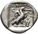 reverse