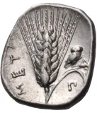 reverse