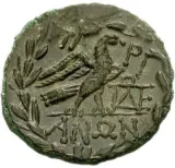 reverse