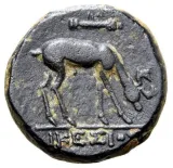 reverse