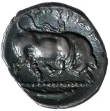 reverse
