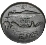 reverse