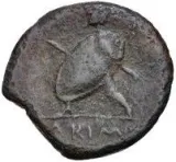 reverse