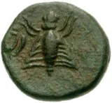 reverse