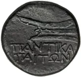 reverse
