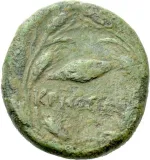 reverse