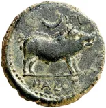 reverse