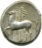 reverse