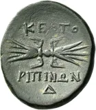 reverse