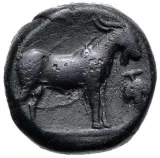 reverse