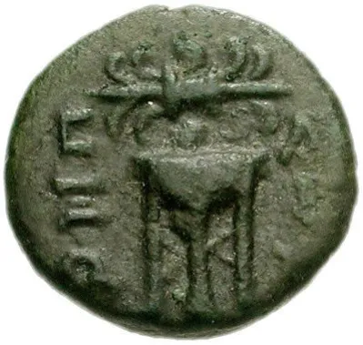 Reverse