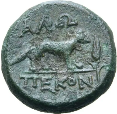 Reverse