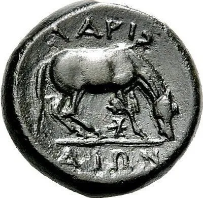 Reverse