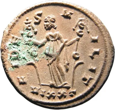 Reverse