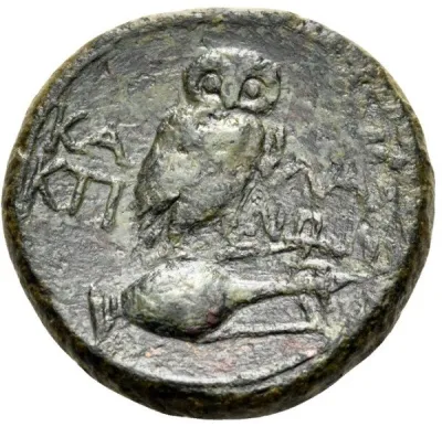 Reverse