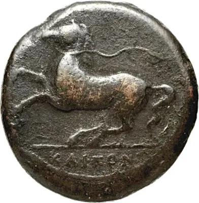 Reverse