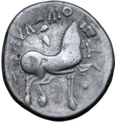 Reverse