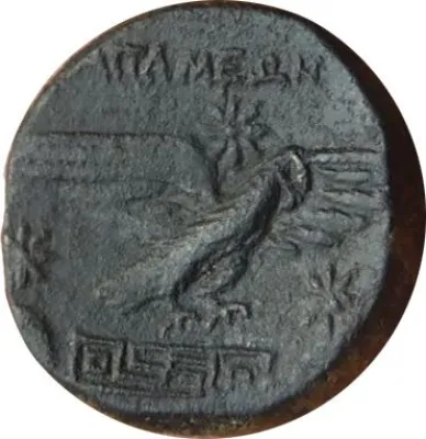 Reverse