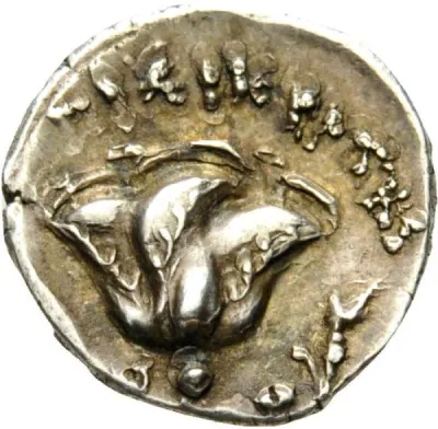 Reverse