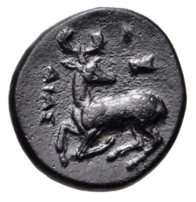 Reverse