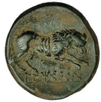 Reverse