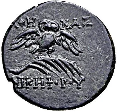 Reverse