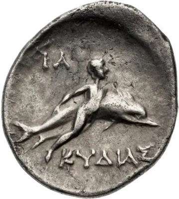 Reverse