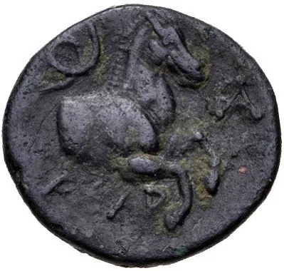 Reverse