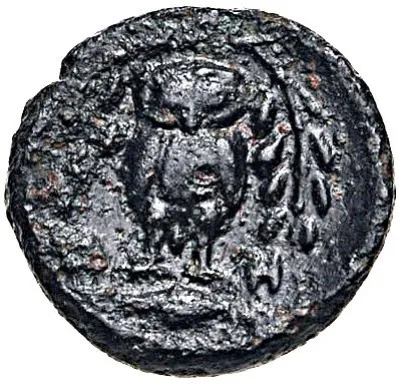 Reverse