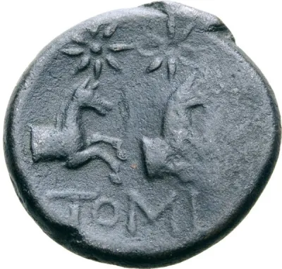 Reverse
