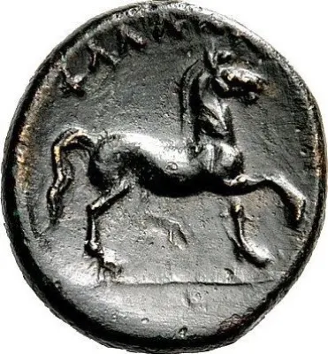 Reverse