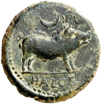 Reverse