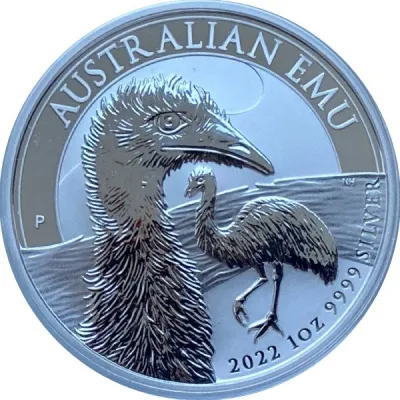 Reverse