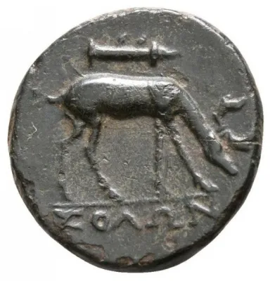 Reverse
